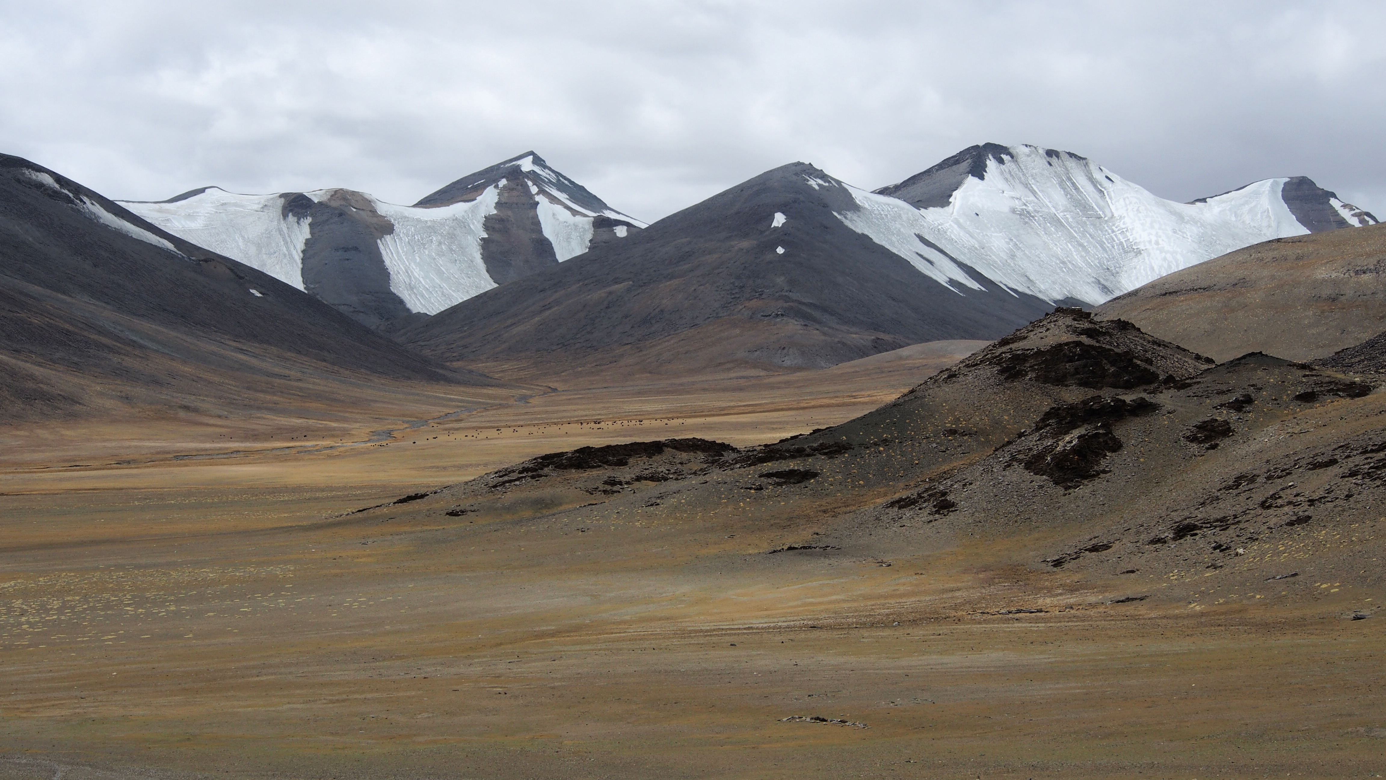 Steppe à 5200m